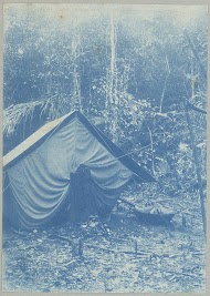 Meetkamp met muskietentent aan de Saramaccakreek