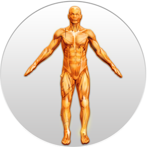 Anatomy Exam Pro.apk 1.0.3