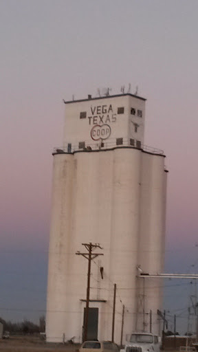 Vega Texas Coop Elevator