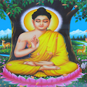 Buddha Tree Live Wallpaper