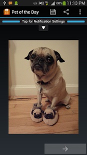 Pet of the Day: Dog & Cat Pics Screenshots 7