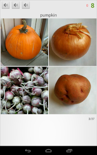 Wiki22 - English in Pictures Screenshots 0