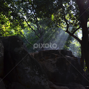  Light Shower by Swapno Hin - Landscapes Forests