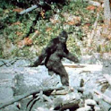 Bigfoot Camera Prank