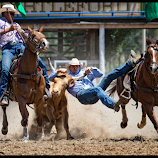 Got em by Anne Young -  