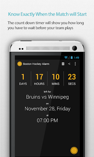 Boston Hockey Alarm Pro