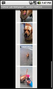 How to mod Sanibel Edition - Wallpaper 2.0 apk for pc