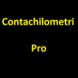 Speedometer Pro.apk 1.0