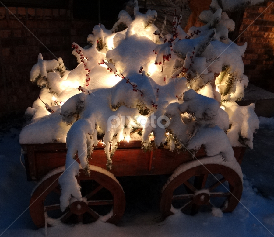 Magical. by Carolyn Kernan - Public Holidays Christmas