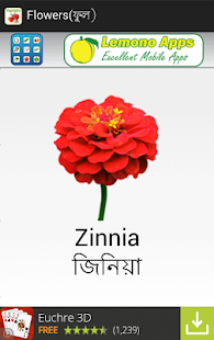 How to download Flowers(ফুল) 1.0 apk for laptop