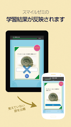 暗記カードmini by スマイルゼミ poster 2