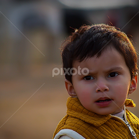 Surprised by Amir Hameed - Uncategorized All Uncategorized