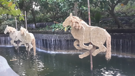 Horse Running Waterfall