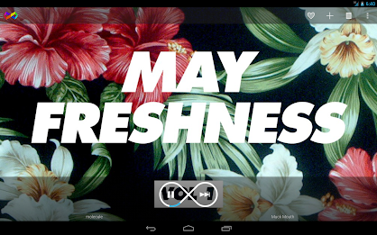 InfiniTracks poster 13