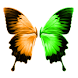 MagnetLink - DC++ support