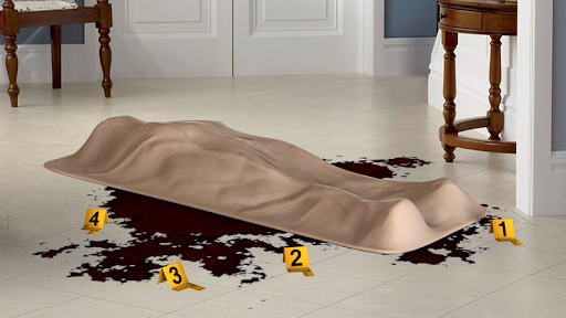 Crime Scene Camera FX