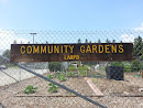 Community Gardens 