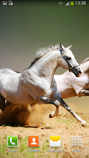 Horses Live Wallpaper Screenshots 18