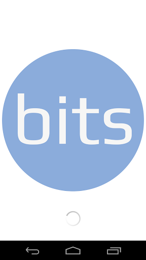 bits IT solutions