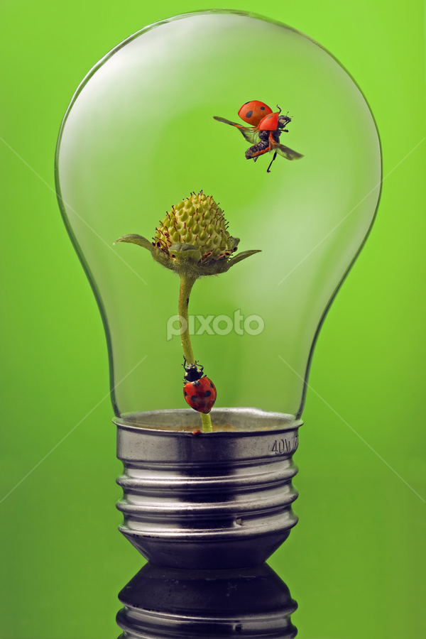 eco take off by William Lee - Artistic Objects Other Objects