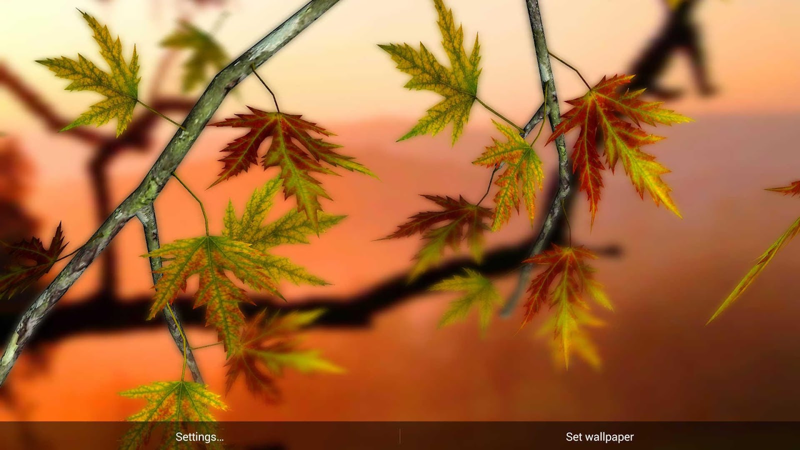 Autumn Leaves In HD Gyro 3D XL Parallax Wallpaper Apl Android Di