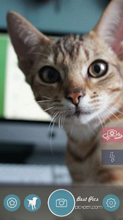 How to mod Pic-Pet Camera patch 1.0 apk for laptop