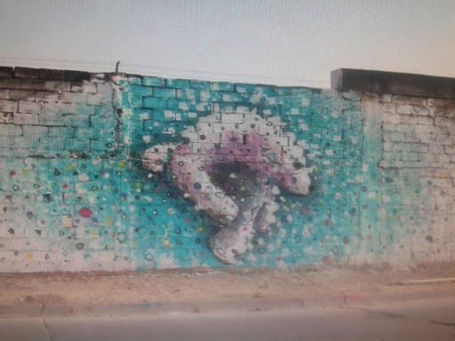 Mural Delfin-lobo Acuatico
