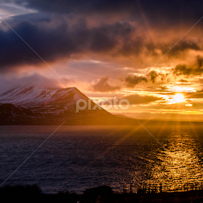Winter Sun by Craig Fraser - Landscapes Sunsets & Sunrises