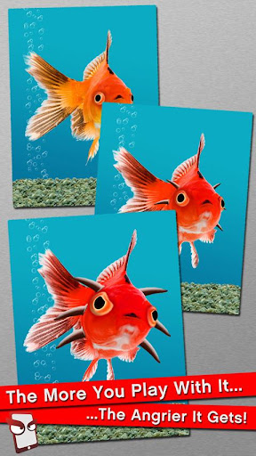 Angry Fish Free