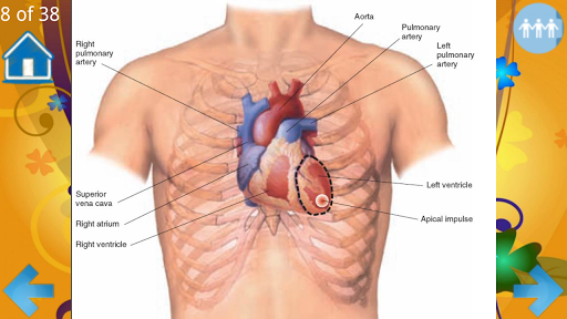 【免費書籍App】Examination of the heart-APP點子