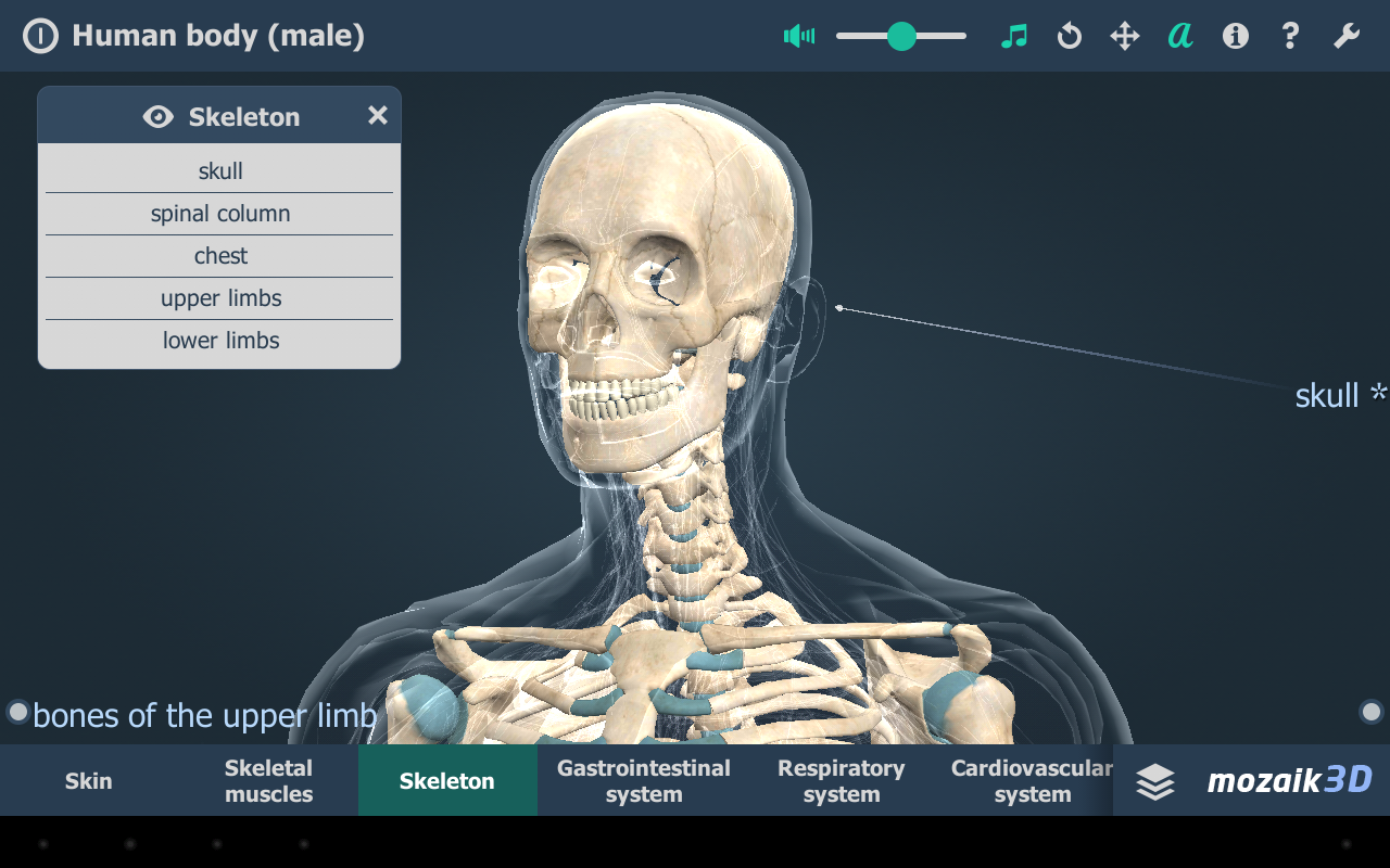 Human body (male) educational VR 3D Android Apps on Google Play