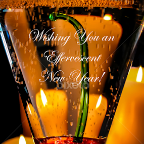 by Karen Celella - Public Holidays New Year’s Eve