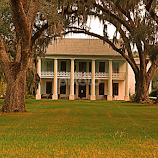 Louisiana Antibellum Home by Ron Olivier -  