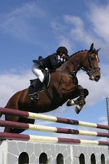 3D Horse Racing