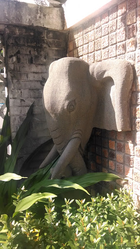 象头
