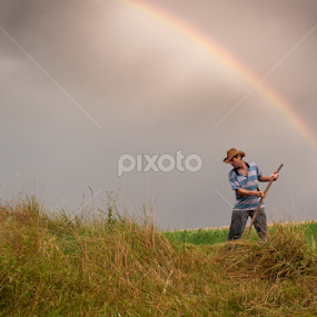 the grasshopers... by Iosif Vajnar - Landscapes Prairies, Meadows & Fields