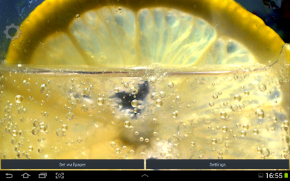 Lemon Appling LWP poster 2