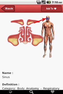 How to download ATLAS: Human Body Anatomy 1.0 unlimited apk for laptop