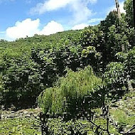 後湖水月度假別墅