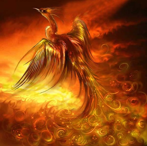 [fire_of_the_phoenix[11].jpg]