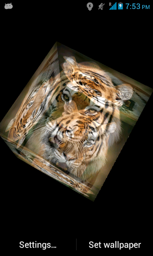 免費下載個人化APP|3D Tiger Live Wallpaper app開箱文|APP開箱王