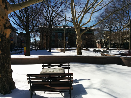 McLevy Green