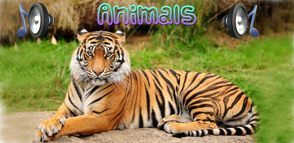 Animal Sounds for Children Latest version for Android
