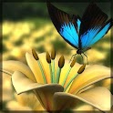 Lily HD 3D Live Wallpaper logo