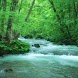 The Rhythm of Water