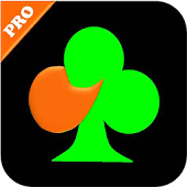 BJ Bridge (BriJ) Pro