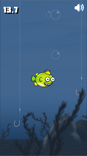 Squishy Fish