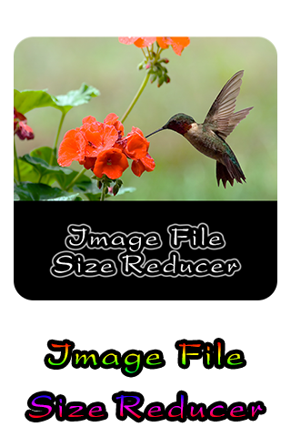 Image File Size Reducer