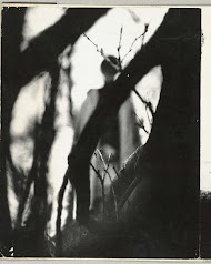 Vaag zichtbare, staande, geklede vrouw achter boomstammen en takken