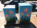 Flowers Painted on a Box